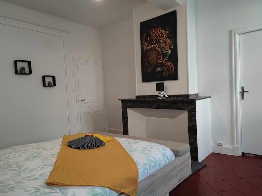Appartement Le Cocon Carcassonne